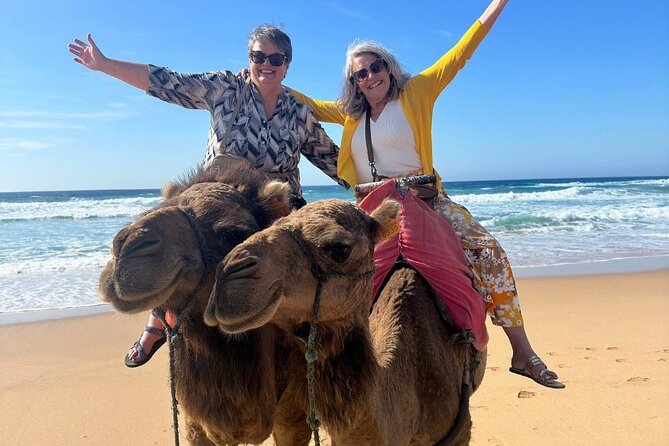 Luxury Private Tour of Tangier From Marbella All Inclusive - Personalized Service and Preferences