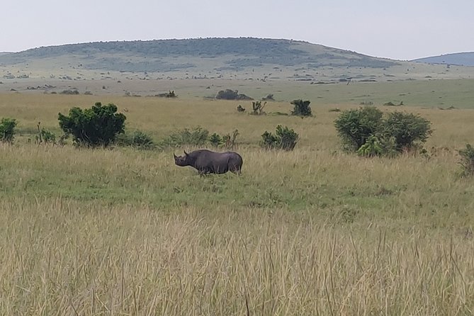 Maasai Mara Safari!! - Booking and Payment Details