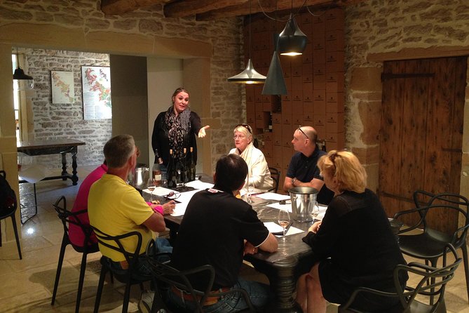 Macon & Beaujolais Wine Tour (9:00 Am to 5:15 Pm) - Small Group Tour From Lyon - Lunch Options