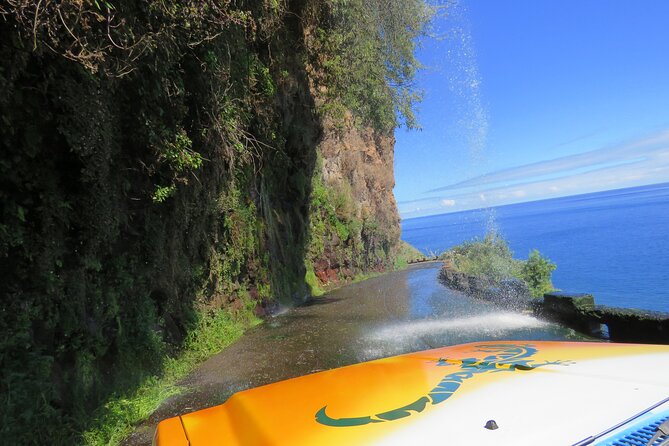Madeiras Majestic South Coastal Wonders - Regional Cuisine Delights