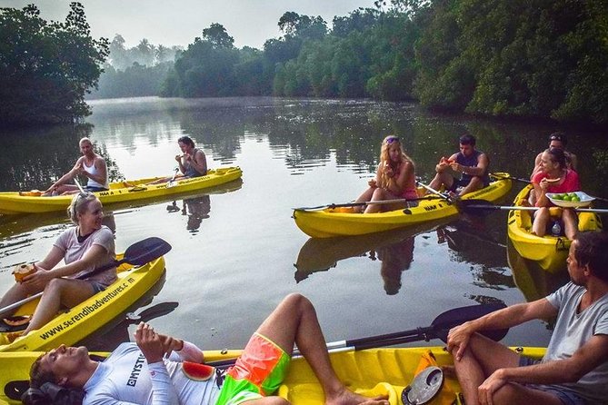Madu River Sunrise Mangrove Kayaking From Bentota - Tips for an Enjoyable Experience