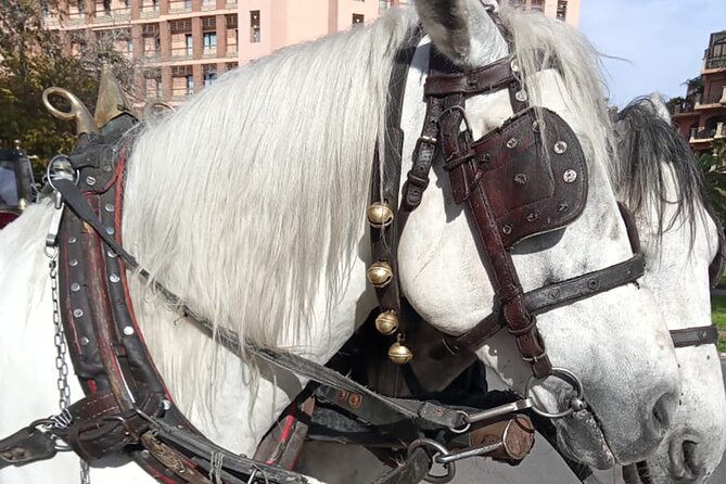 Majorelle-Menara Garden & the Yves Saint Laurent Museum Horse Carriage Tours - Frequently Asked Questions