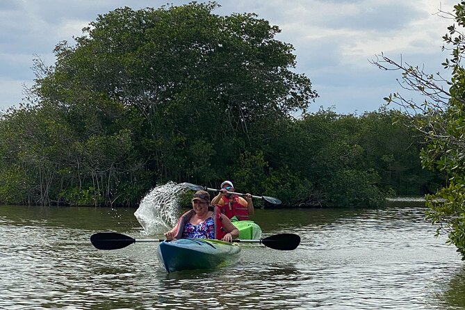 Manatee and Dolphin Kayak Tour - Additional Information