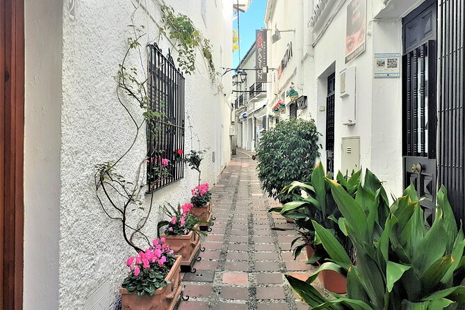 Marbella: Private Walking Tour - Why Choose a Private Tour