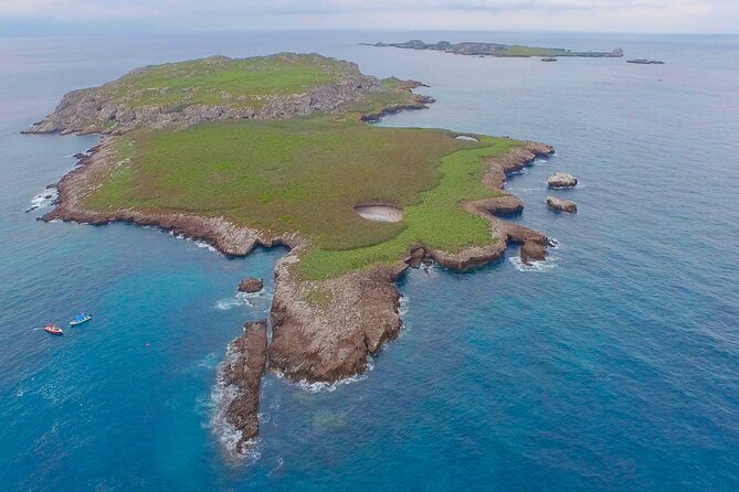 Marietas Islands Eco Discovery With Open Bar and Lunch - Booking and Contact Information