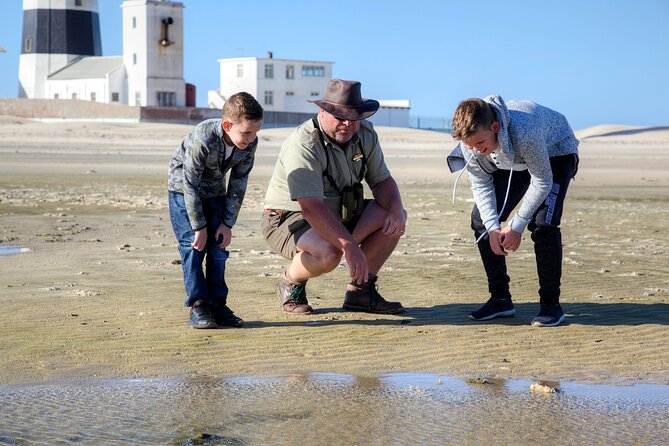 Marine Eco Safari - Tips for a Great Experience