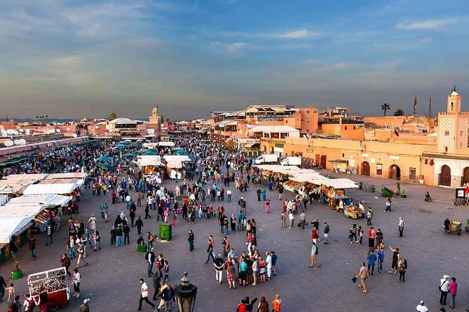 Marrakech Shore Excursion From Agadir - Why Choose This Tour