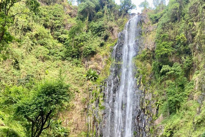 Materuni (Coffee Tour) and Chemka (Kikuletwa Tour) - Frequently Asked Questions