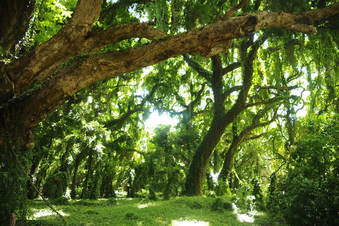 Maui Part-Way to Hana North Shore Sightseeing & Photography Tour! - Booking Your Adventure