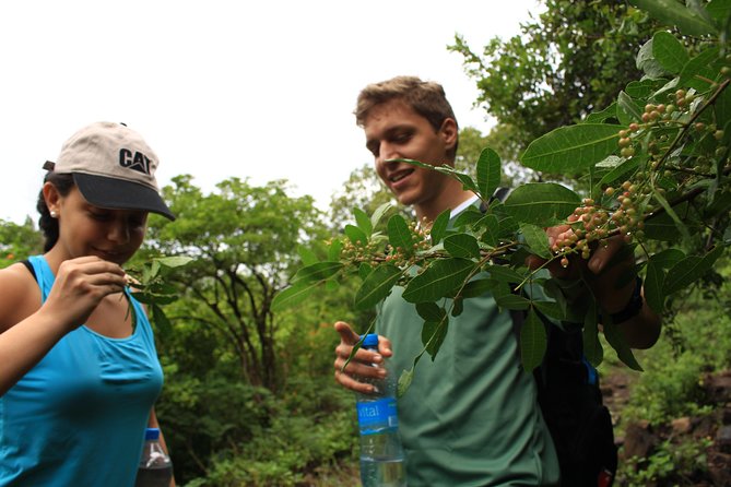 Mauritius Le Morne Hiking Including Transfer - Frequently Asked Questions