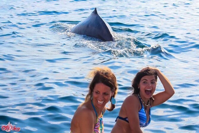 Mega Yacht Whale Watching ALL-Inclusive Daytime Adventure. - Purchase of Souvenir Photos