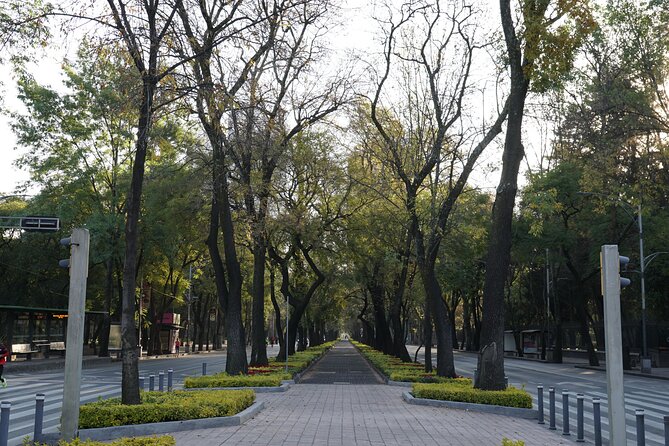 Mexico City: 19 City Highlights Bicycle Tour - Frequently Asked Questions