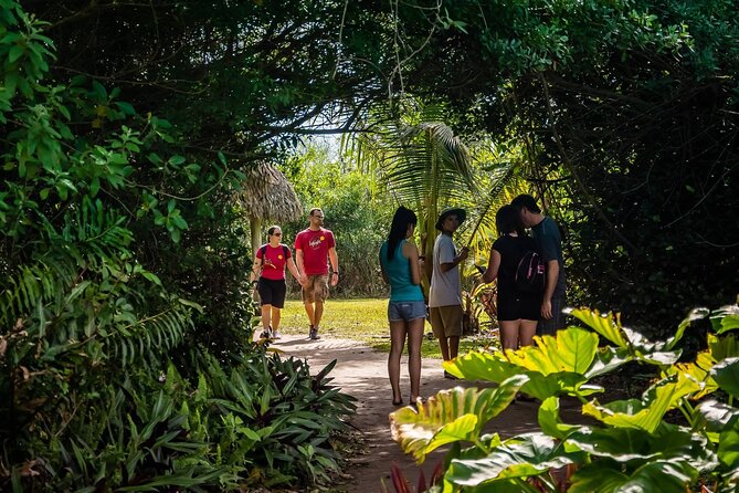 MIAMI: Everglades Airboat and Wildlife Sanctuary - Things To Known