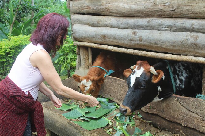 Microfinance Family Farm Tour - All Proceeds to Charity - Frequently Asked Questions