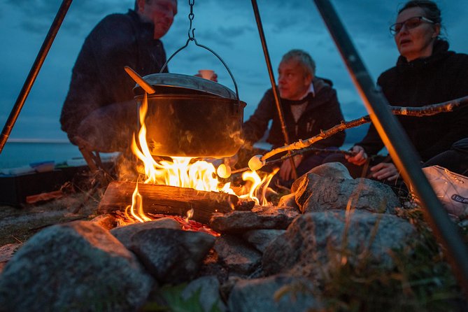 Midnight Sun Campfire Tour From Tromso - Spontaneous Wildlife Sightings