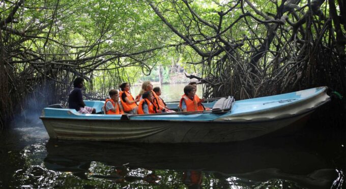 Mirissa/Weligama/Galle: Galle & Bentota Coastal Day Tour - Madu Ganga River