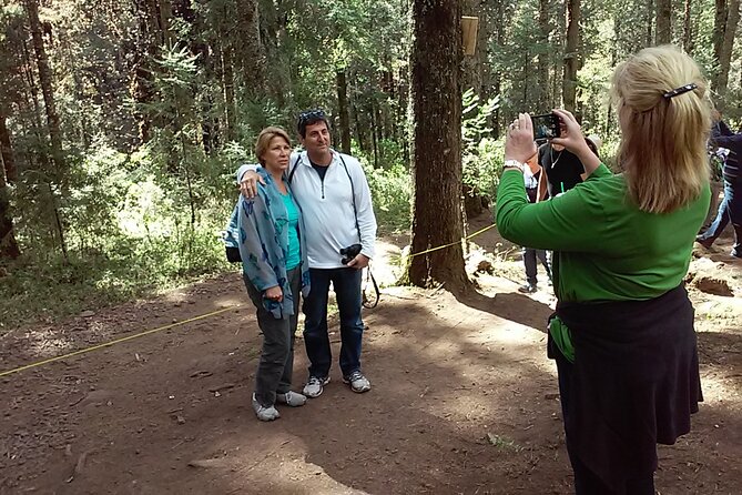 Monarch Butterfly Private Tour (Morelia) - Frequently Asked Questions