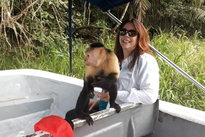 Monkeys Discovery - Traveler Reviews