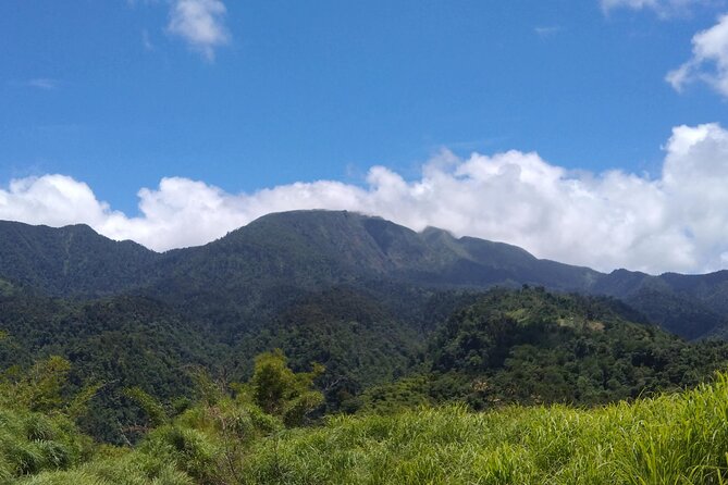 Morne Daiblotin Mountain Climb -Dominicas Tallest - Highlights of the Climb