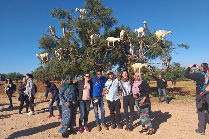 Morocco 11 Days Tour From Casablanca via Sahara Desert - Booking and Cancellation Policies