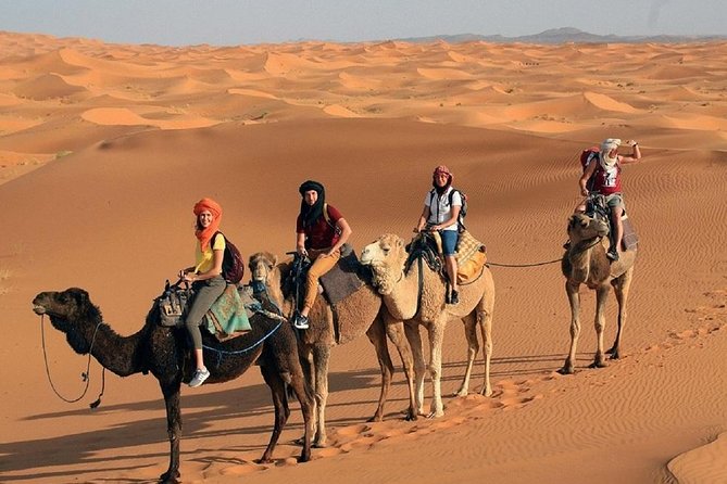 Morocco Desert Tour 4 Days From Marrakech - Customer Reviews and Testimonials
