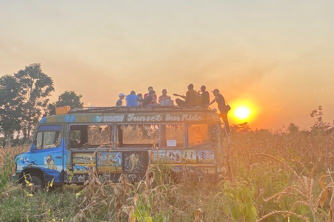 Moshi Sunset Experience - Reasons to Attend the Moshi Sunset Experience