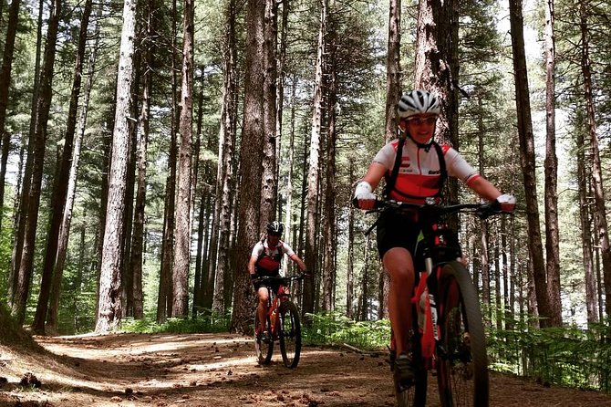 Mount Etna E-Bike Half-Day Tour - Personalized Small Group Experience