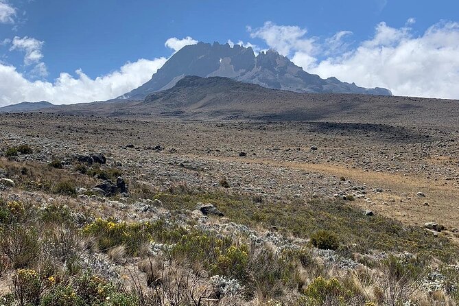 Mount Kilimanjaro - Marangu Route - Reviews and Feedback