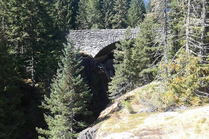 Mount Rainier Tour From Seattle - Guided Expertise