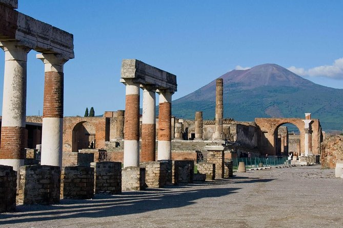 Mount Vesuvius & Wine Tasting With Lunch Private Tour From Amalfi Coast - Customer Reviews and Feedback