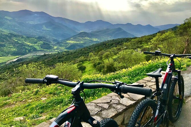 Mountain Bike Tour of the Madonie From Cefalù - Customer Reviews