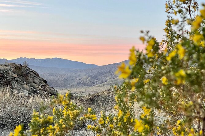 Mountain Sunrise Hike and Meditation in Palm Springs - Personalized Guidance and Support