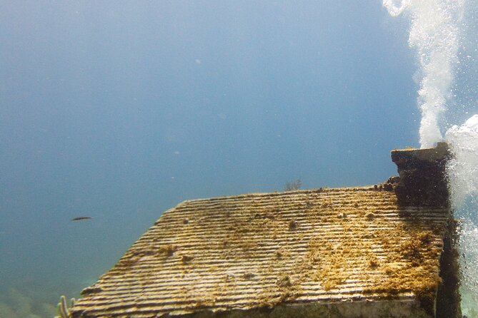 MUSA Museum and Colorful Reef 2 Tank Dive-Certified Divers - Customer Feedback and Ratings