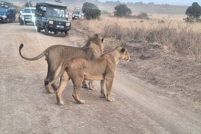 Nairobi National Park and Giraffe Centre Guided Safari Tour - Traveler Reviews and Recommendations
