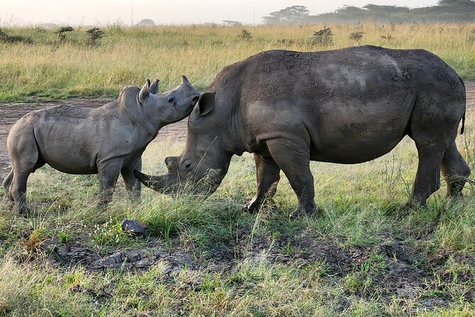 Nairobi National Park Elephants and Giraffe Center Tour - Cancellation Policy
