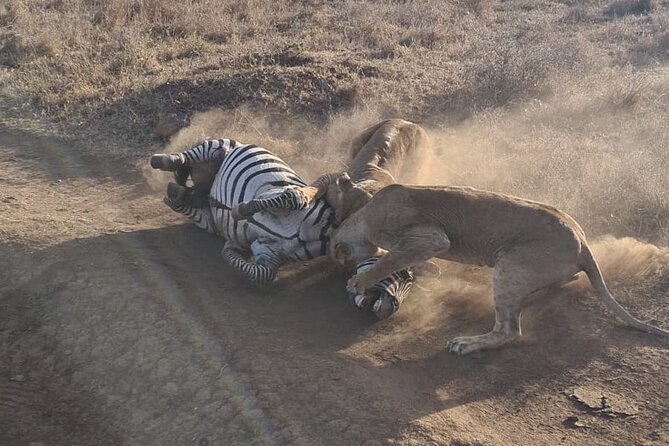 Nairobi National Park Group Shared Tour - Booking Information