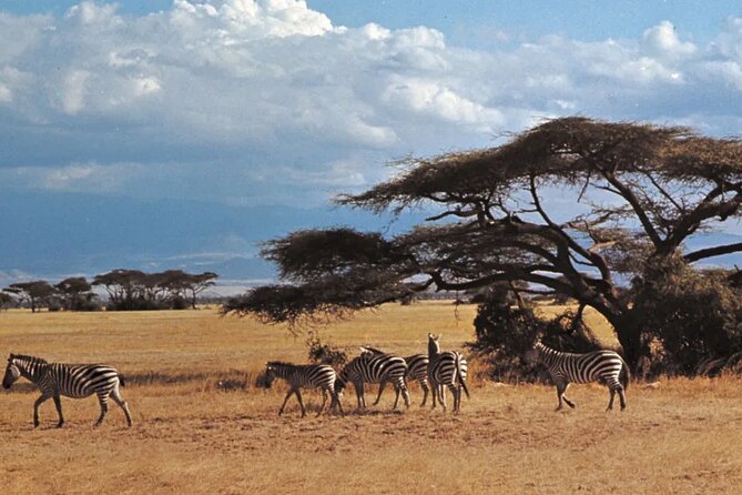 Nairobi National Park Group Tour - Frequently Asked Questions