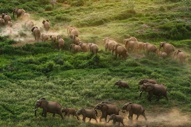 Nairobi National Park,Elephant Orphanage, Giraffe Center and Karen Blixen Museum - Frequently Asked Questions