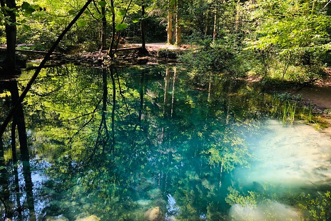 Nera Gorge National Park - Private Day Tour From Timisoara - Customer Reviews