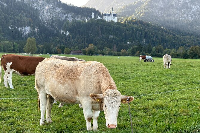Neuschwanstein & Linderhof Castle - Private Tour From Munich - Frequently Asked Questions