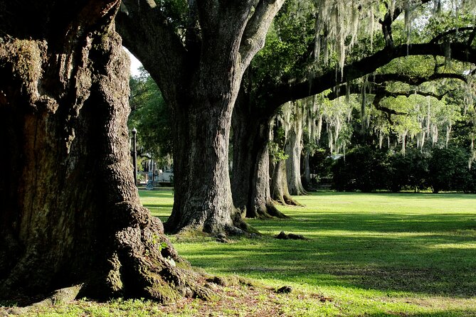 New Orleans: City Park Exploration Game and Tour - Engaging With Interactive Clues
