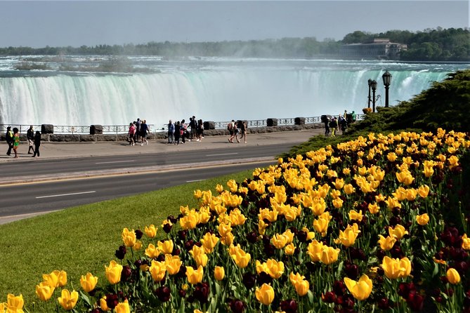 Niagara Falls Day Tour From Toronto - Wine Tasting Opportunity