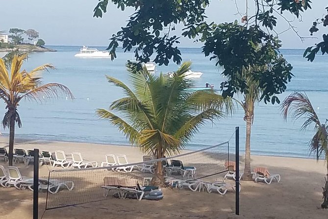Nine Mile Tour From Negril - Scenic Stops Along the Journey