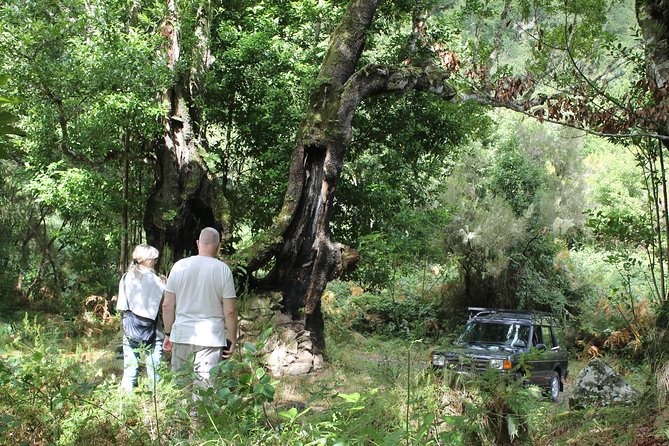 North Tour & Wine Tasting - 4x4 (Small Groups) - The Sum Up
