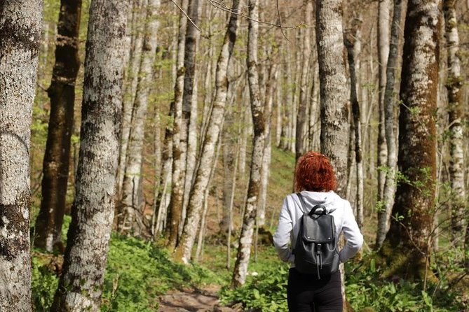 NP Biogradska Gora and Canyon Moraca (Private Tour) - Optional Monastery Visit