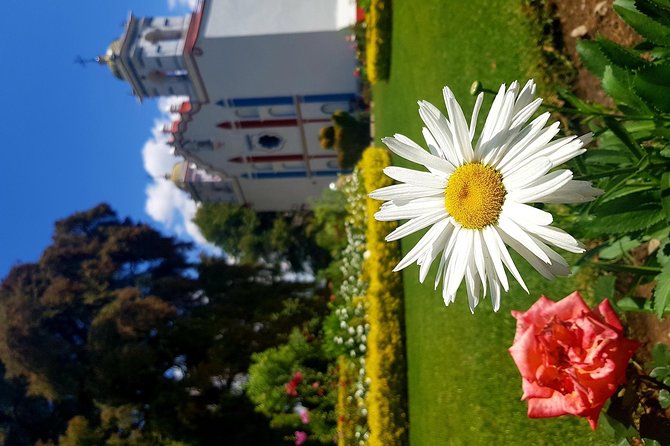 Oaxaca Conmigo Private Tours - Exploring Oaxacas Culture