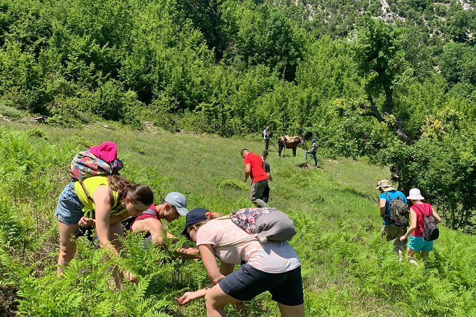 Off Road Albania Tours Osumi Canyon to Vjosa River, Përmet (ARG) - Frequently Asked Questions