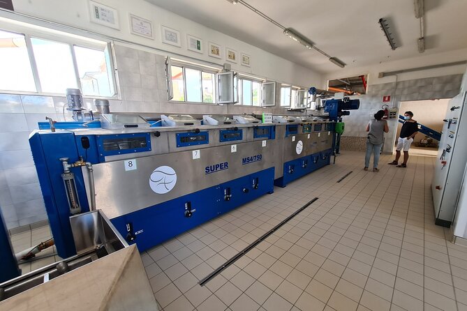 Oil Mill Private Tour With Guided Oil Tasting - About the Company