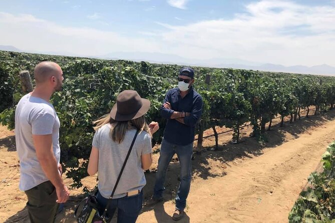 Ojos Negros Valley Wine and Cheese Route Tour in Baja California - Guest Ratings and Feedback