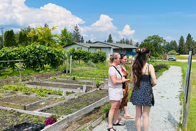 Okanagan Bee Tour and Lunch at Winery in Kelowna - Okanagan Bee Experience